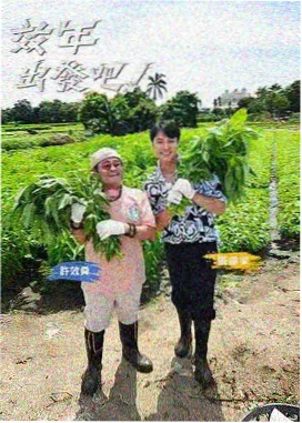 发令枪响之后 封面